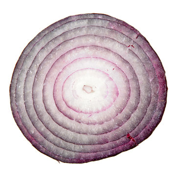 Slice of red onion isolated on white background