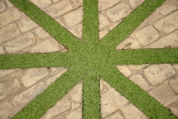 Pattern of background with green grass bricks and concrete texture