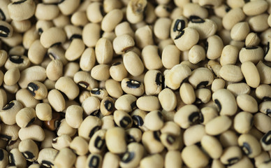 Soy beans texture background
