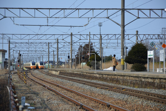 Fototapeta 特急列車