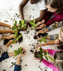 A group of primary schoolers planting a tree together