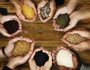 People holding grains in their hands