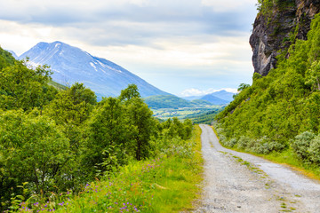 Pathway landscape in norwegian mountains