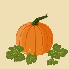Editable Pumpkin with Leaves Vector Illustration for Thanksgiving Day