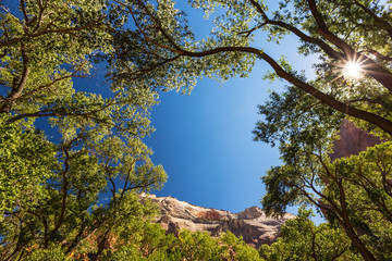 Zion National Park scenery, on the Angel's Landing trail