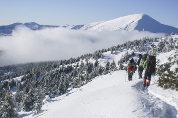 Fototapeta na wymiar winter hiking in the mountains. tourism in the winter mountains