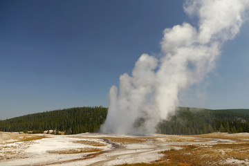 Old faithful. The largest geyser in the Yellowstone