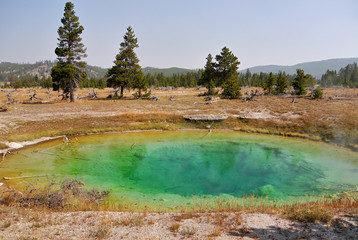Green thermal lake. Yellowstone, USA