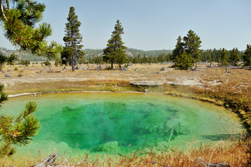 Yellowstone National Park. Wyoming. USA. Thermal pool