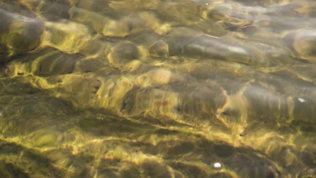 Close-up of pure sea water and a stone bottom with green algae
