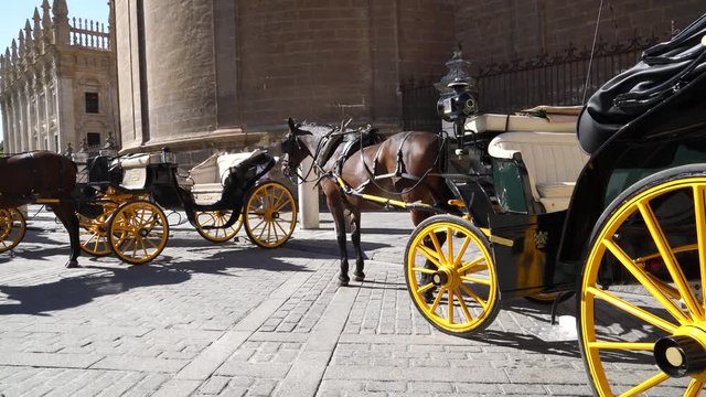 Horse carriage parked by the Cathedral of Sevilla