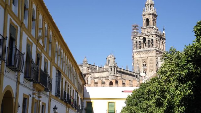 View of la Giralda tower desde el Patio de Banderas