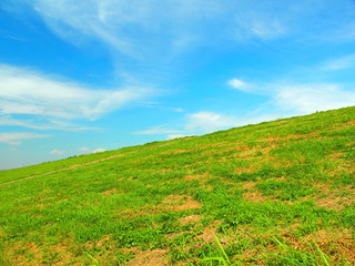 Fototapeta premium 秋の土手風景