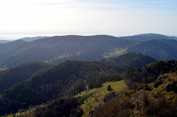 Naklejka premium Berglandschaft im Schwarzwald