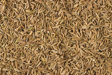 caraway seed spice as a background, natural seasoning texture