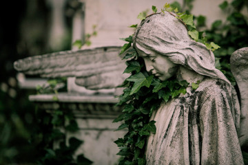 Statue in an old cemetery