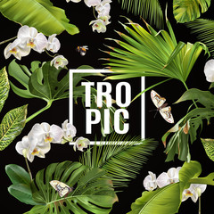 Tropical orchid banner © purplebird