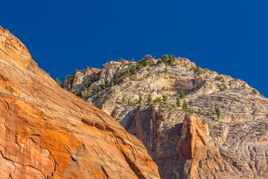 Bright scenery in Zion National Park, Utah, with red rock formations and clear blue sky