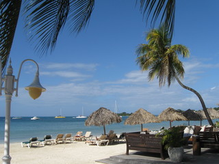 Fototapeta premium Tropical beach holday scenery from Jamaica
