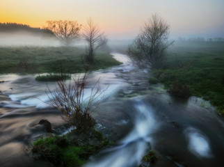 Fototapeta premium spring morning. a picturesque river. foggy dawn