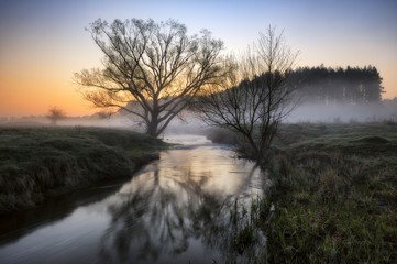 spring morning. a picturesque river. foggy dawn