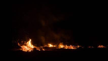 Wildfire burning on grass and wood at night. dangerous place on fire.
