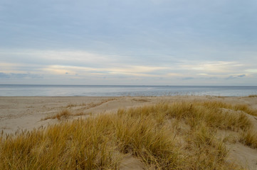 Fototapeta na wymiar sandy sea beach with wide angle perspective