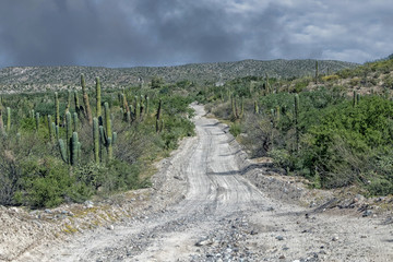 4x4 offroad in baja california landscape panorama desert road
