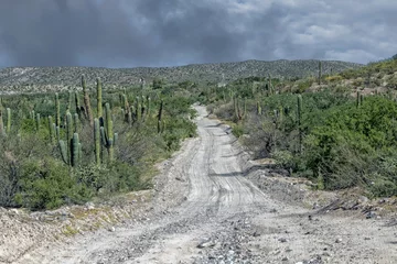 Fototapeten 4x4 offroad in baja california landscape panorama desert road © Andrea Izzotti
