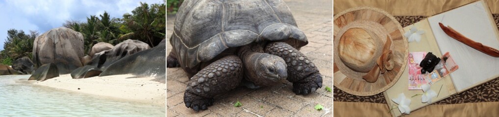 Triptyque repr&eacute;sentatif des Seychelles