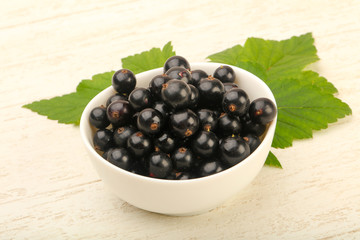 Ripe black currants