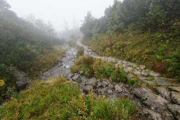 Fototapeta premium mountain tourist trail in autumn covered in mist