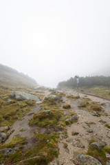 mountain tourist trail in  autumn covered in mist