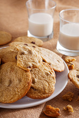 Chocolate Chip Cookies and Milk