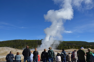 Fototapeta premium usa