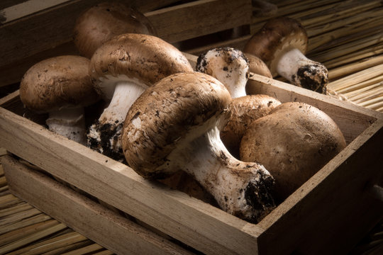 Pink Paris mushrooms in a crate, on a straw background