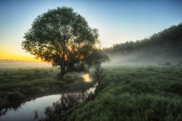 Fototapeta na wymiar river. Spring morning by the picturesque river, golden rays in the fog