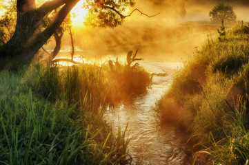 river. Spring morning by the picturesque river, golden rays in the fog