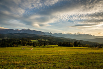 View on the Tatra mountains from Lapszanka, Poland