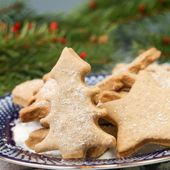 Christmas gingerbread cookies
