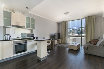 Modern gourmet kitchen interior