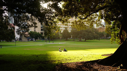 A couple in the sunlit glade enjoying a break under the tree at the Domain park
