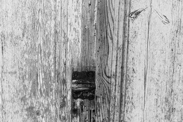 Vintage Paint Door