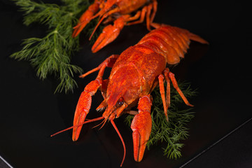 boiled crayfish lie on a black plate