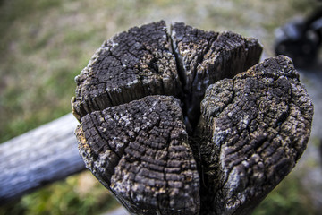 Wood's cross