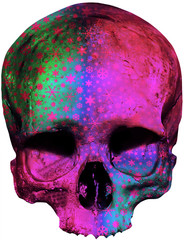 skull - covered with radiant star pattern