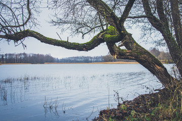 Fototapeta na wymiar View of the lake in autumn