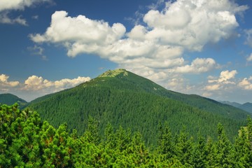 Beautiful summertime mountain landscape