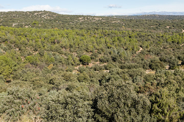 Autumn landscapes in Navalagamella, village of the mountain of Madrid