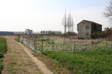 Chinese countryside